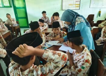 WhatsApp Image 2025 02 28 at 18.33.01