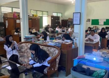 WhatsApp Image 2025 03 04 at 09.23.44