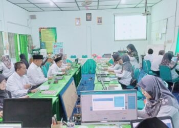 WhatsApp Image 2025 03 05 at 07.43.51