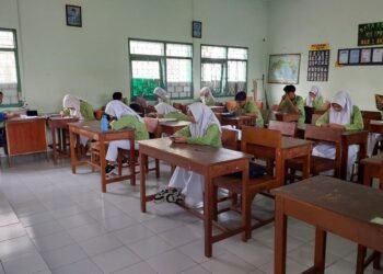 WhatsApp Image 2025 03 07 at 11.22.43