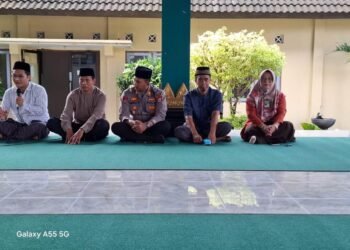 WhatsApp Image 2025 03 08 at 15.00.50