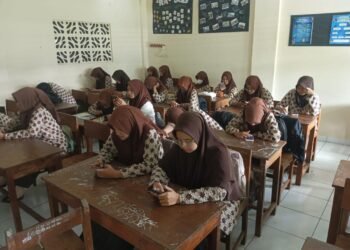 WhatsApp Image 2025 03 13 at 09.39.57