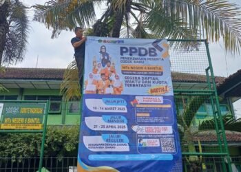 WhatsApp Image 2025 03 13 at 13.31.54