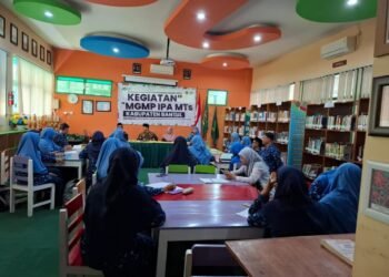 WhatsApp Image 2025 03 13 at 14.39.01