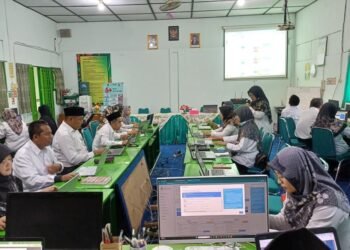 WhatsApp Image 2025 03 13 at 14.48.09 1