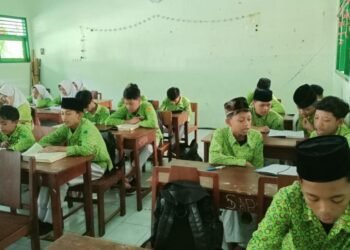 WhatsApp Image 2025 03 13 at 15.10.35 1