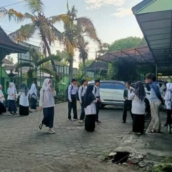 WhatsApp Image 2025 03 13 at 15.11.14 1 350x350 1