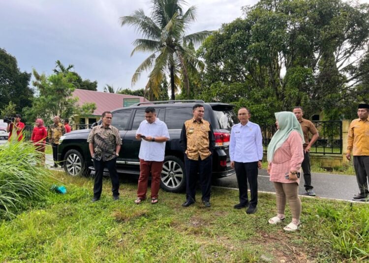 WhatsApp Image 2025 03 14 at 00.48.37