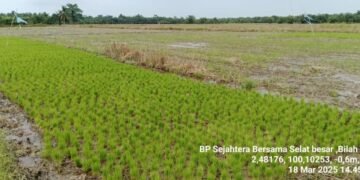 WhatsApp Image 2025 03 18 at 15.24.50