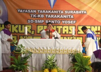 WhatsApp Image 2025 03 21 at 11.59.10 10