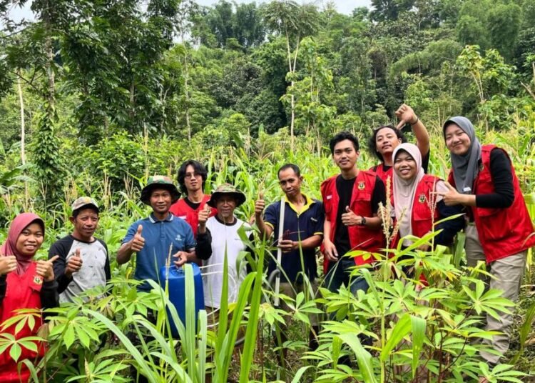 WhatsApp Image 2025 03 21 at 16.19.34