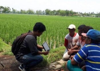Penyuluh lapangan menjelaskan informasi kepada petani
