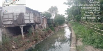Mafia Tanah