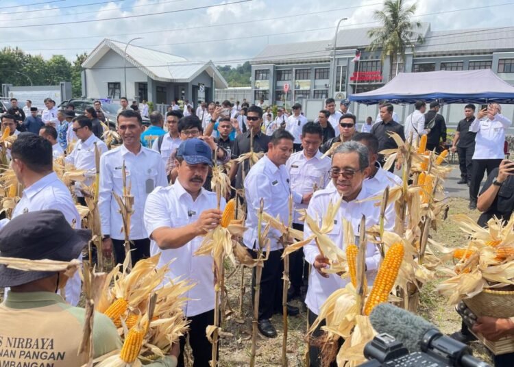 WhatsApp Image 2025 04 18 at 09.28.54