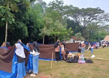 WhatsApp Image 2025 04 22 at 17.17.48