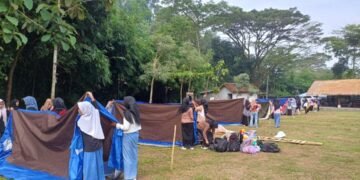 WhatsApp Image 2025 04 22 at 17.17.48