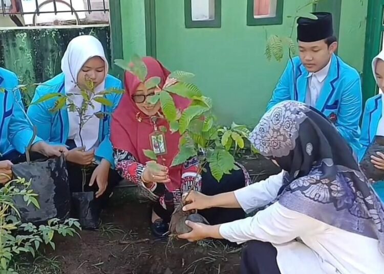 MTsN 6 Bantul Turut Sukseskan Aksi Gerakan Penanaman 1 Juta Pohon 1 WhatsApp Image 2025 04 23 at 13.07.01 1