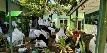 WhatsApp Image 2025 04 23 at 14.43.16