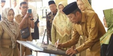 WhatsApp Image 2025 04 29 at 13.31.05