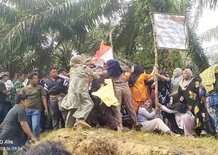 Perjuangan Masyarakat Lemah Desa Simangambat Jae 1 Simangambat Jae