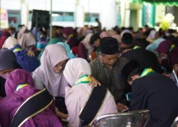 WhatsApp Image 2025 05 16 at 09.17.48