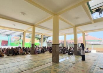 WhatsApp Image 2025 05 22 at 10.56.09