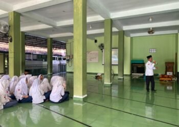 WhatsApp Image 2025 05 22 at 10.57.16