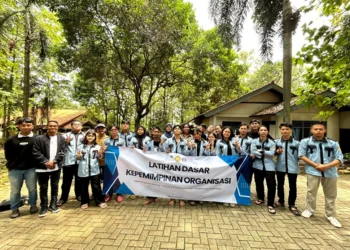 01jxfp2er4cja3v6wdqsqxddmd