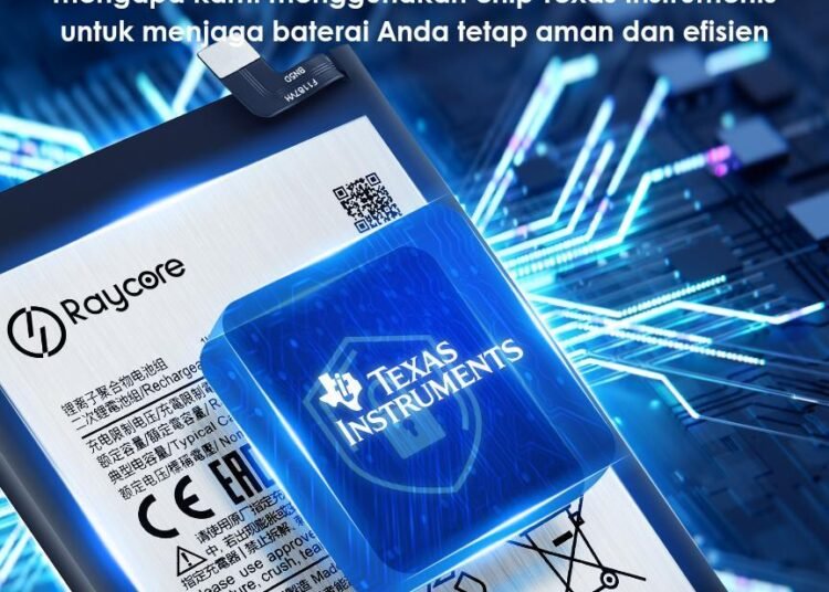 Final BMS Chips. connector etc. 20241028 163402 0011