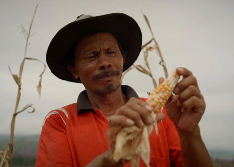 HARMONY Still Picture 01 Rekam Films 2024