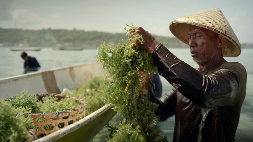 Pesona dan Perjalanan Yuda Kurniawan di Film Harmoni 2 HARMONY Still Picture 02 Rekam Films 2024