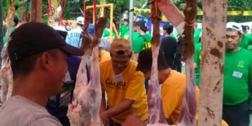 IMG 20250606 WA0043