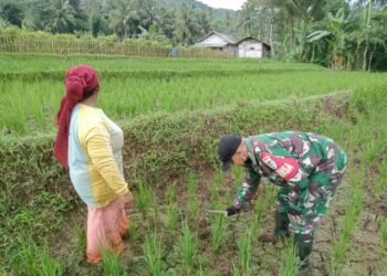Dadang Sutisna