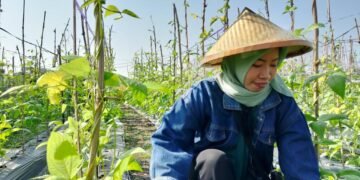 Potret Perempuan Muda Bertani