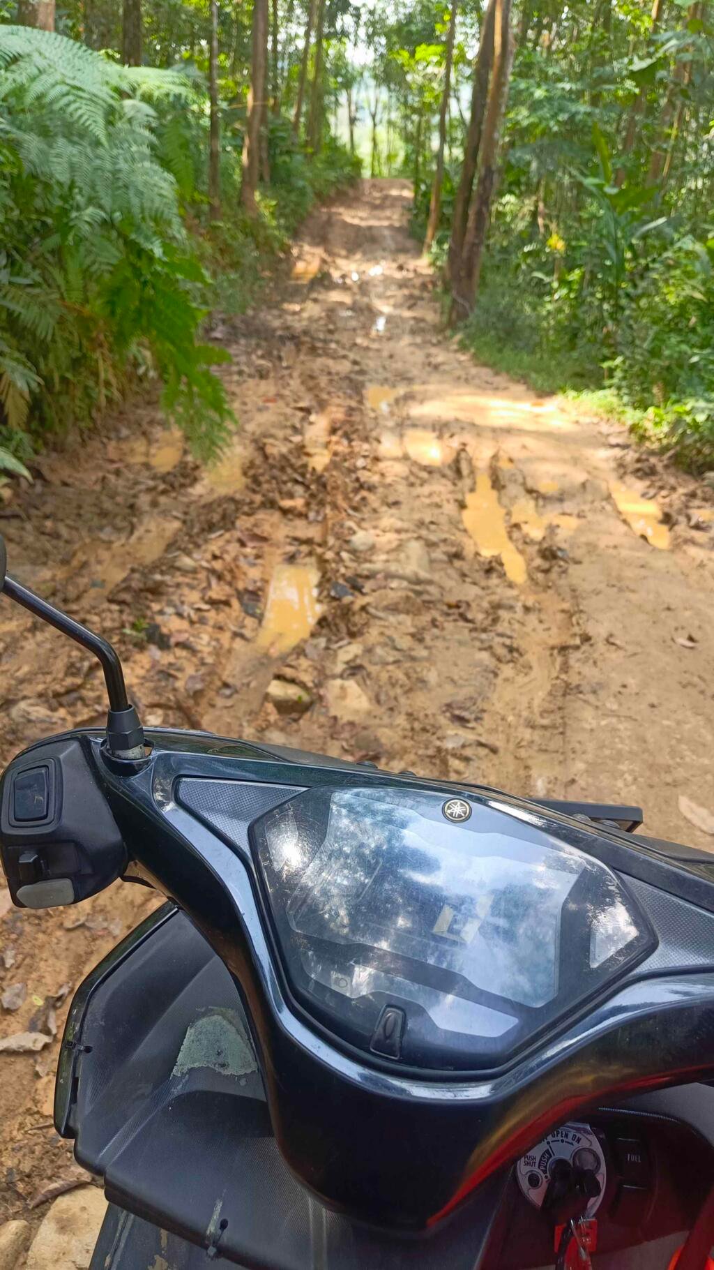 Jembatan Baja Cimapag Tuntas Dibangun: 2 IMG 20250617 110536 312