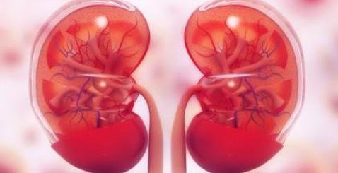 Jangan Asal Minum Obat, Ginjal Bisa Rusak 1 Screenshot 2025 06 25 182300