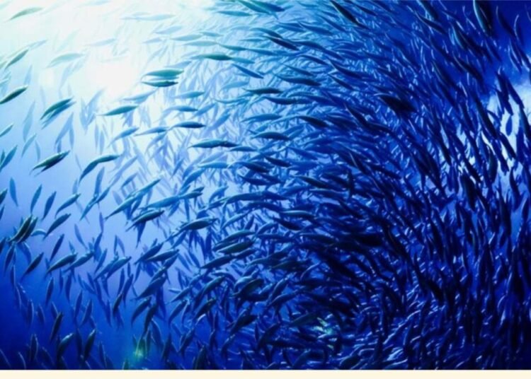 Screenshot 20250619 143749 Chrome