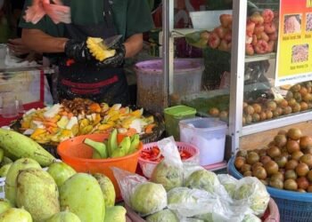 WhatsApp Image 2025 05 28 at 14.18.30