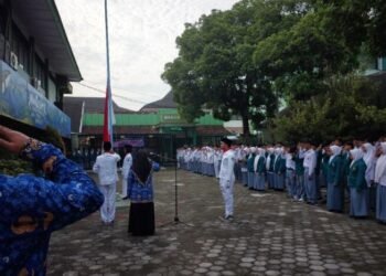 WhatsApp Image 2025 06 03 at 08.53.04