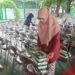 WhatsApp Image 2025 06 03 at 15.05.12