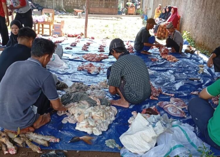 WhatsApp Image 2025 06 09 at 14.49.20