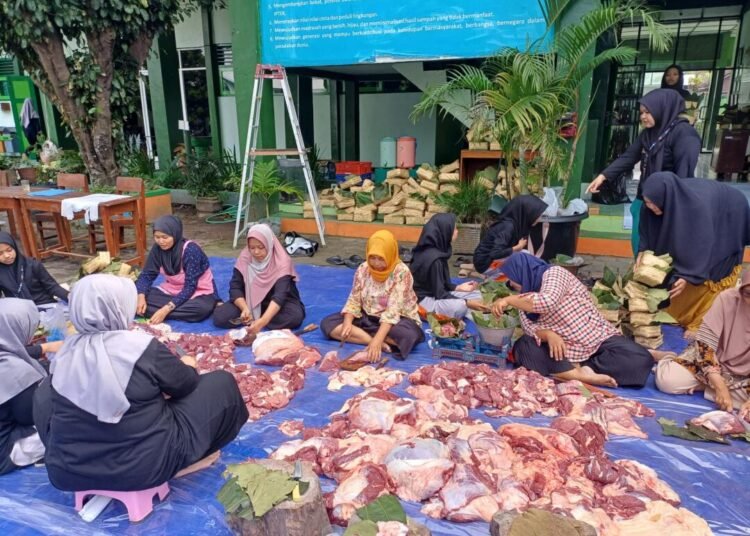 WhatsApp Image 2025 06 10 at 14.54.34