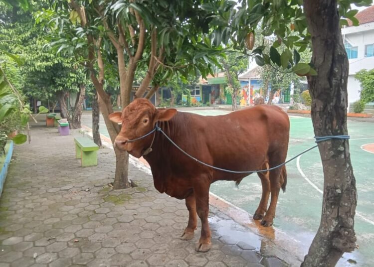 WhatsApp Image 2025 06 12 at 10.59.46