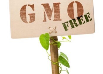 WhatsApp Image 2025 06 14 at 12.01.36 f94ec8f5