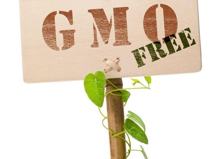 Lindungi Generasi, Katakan Tidak Pada GMO! 1 WhatsApp Image 2025 06 14 at 12.01.36 f94ec8f5