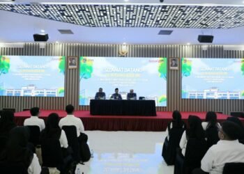 WhatsApp Image 2025 06 22 at 23.54.13