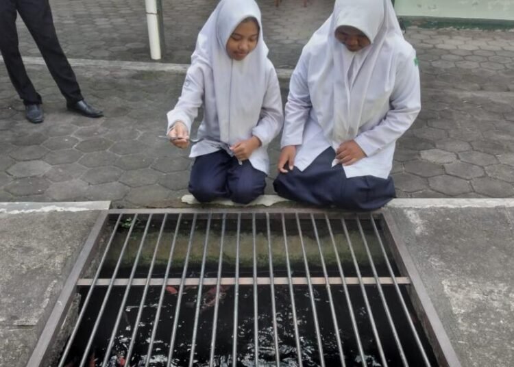 WhatsApp Image 2025 06 24 at 09.30.19