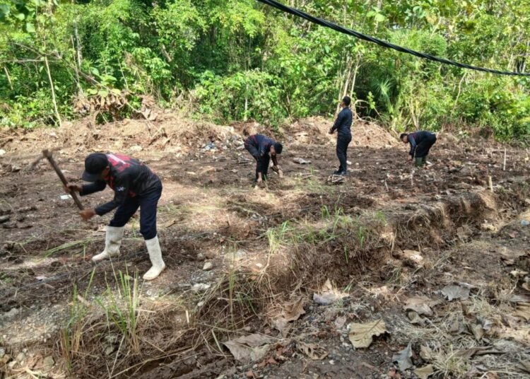 Lapas Batu Dukung Ketahanan Pangan, Tanami Area Lapas Dengan Singkong Dan Jagung 1 Lapas Batu
