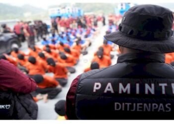 WhatsApp Image 2025 06 25 at 18.36.36