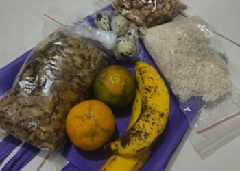 mbg di sd ciputat timur dibagikan dalam bentuk mentah isinya beras baby fish telur puyuh 18062025 183844